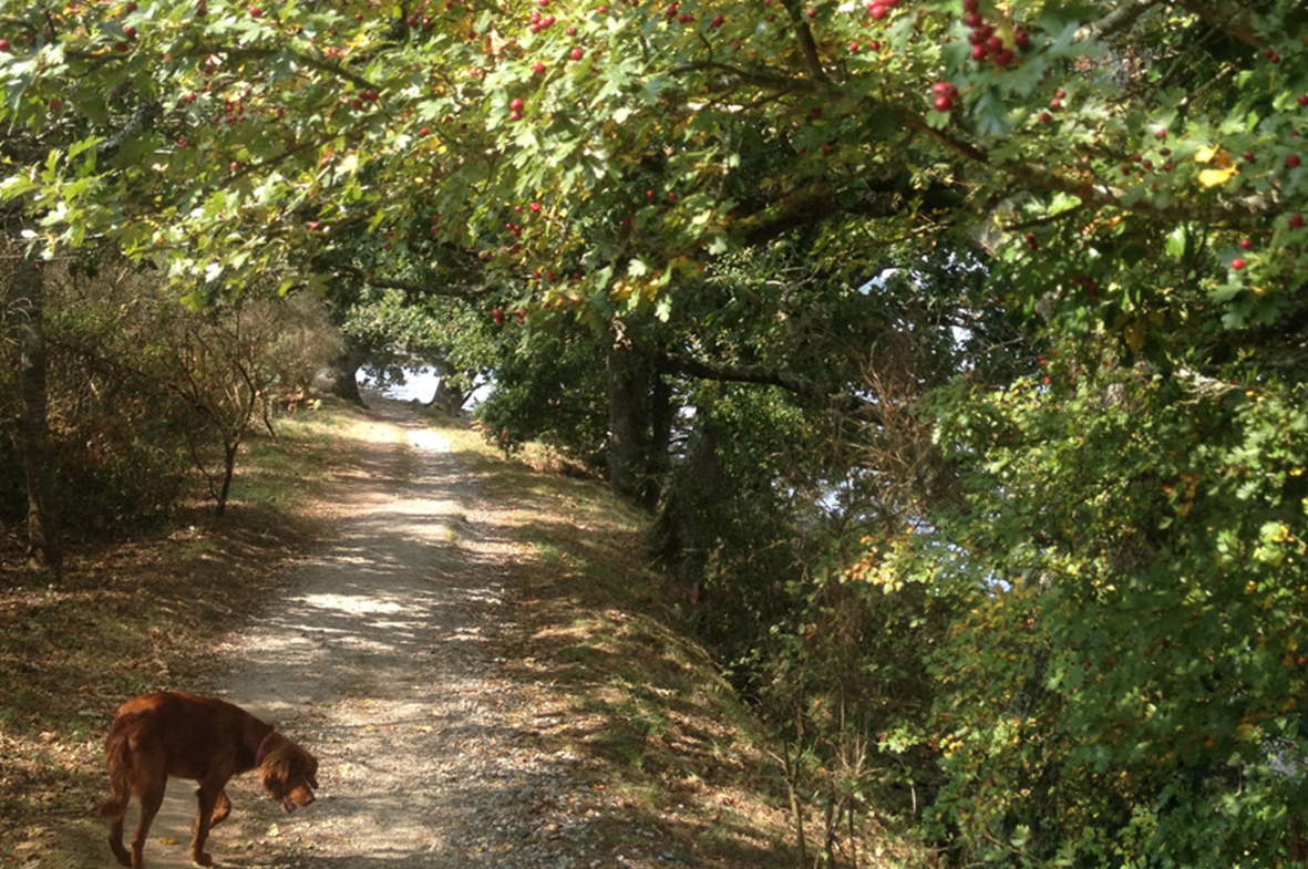 Sentier