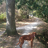 Sentier cotier Ria d'Etel